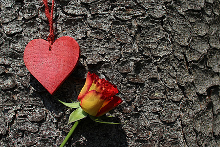 红红的心和玫瑰树木花朵结婚日爱情符号木头婚礼爱的心请柬结婚图片