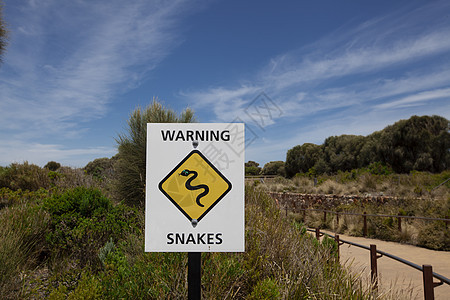 澳大利亚海滩上的黄色蛇警示信号 警告在澳洲沙滩上图片