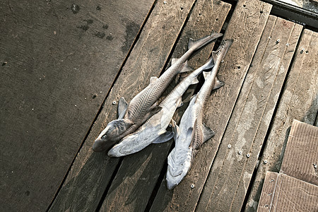 - 天然木制地板上的生鱼图片