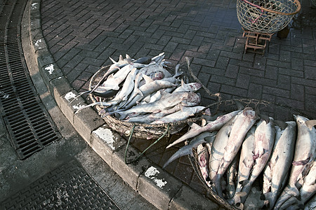 海鲜手机端模板海产食品市场篮鱼新鲜鱼背景