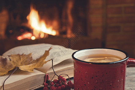红杯加热茶和一本开着的书 在燃烧的壁炉 舒适 放松和温暖的心房概念面前情绪国家房子假期房间火焰烧伤杯子桌子柠檬图片