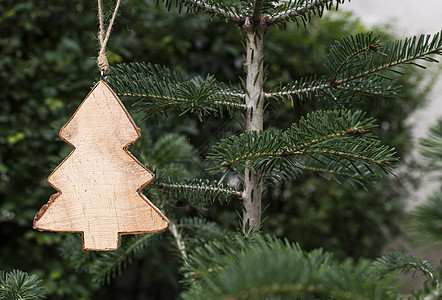圣诞枞树切欧白色木头绿色卡片庆典松树假期云杉问候语季节图片