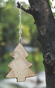 圣诞枞树切欧卡片季节假期云杉绿色白色庆典问候语木头松树图片