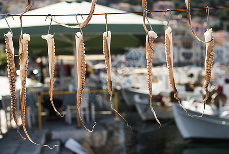 章鱼和渔船海鲜食物商业触手港口旅行美食热带酒馆海洋图片