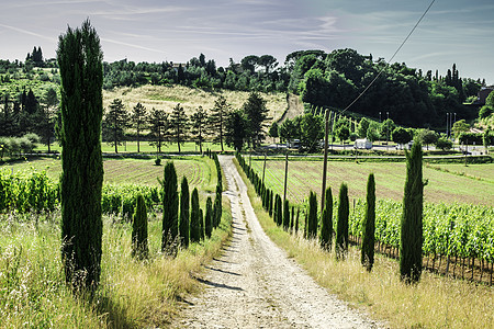 意大利的养殖场和农场道路葡萄园天空农家草地农村别墅爬坡农业国家农田图片
