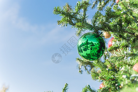 日光闭合时挂在圣诞松树枝上的绿球装饰品珍珠传统房子松树玻璃庆典公园金子新年锥体图片