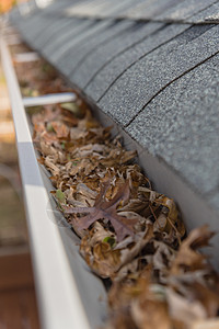 美国得克萨斯州 满是秋天干叶和残骸的废墟卵石金属树叶封锁清理维修石棉落水管屋顶铁皮图片
