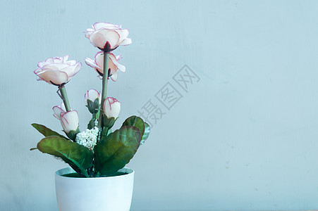 桌子上有美丽的玫瑰花 复制空间房间供您放假背景装饰的文字用 笑声礼物粉色植物学家居绿色花瓣复古植物风格叶子图片