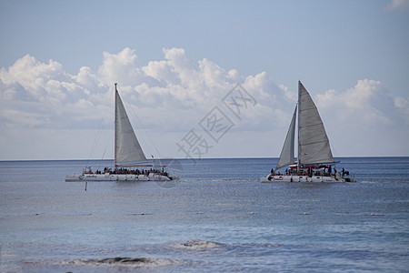 Bayahibe海上的帆船图片