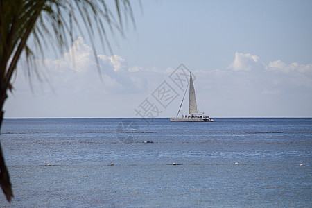 Bayahibe海上的帆船 2图片
