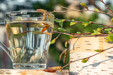 春天森林里桦树桩上玻璃杯里的桦树汁 靠近有幼叶的桦树枝液体排毒叶子植物柳絮生物公园木头营养植物学图片