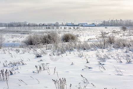 冬季大自然的美丽衬套房子天空旅行栅栏晴天村庄草地季节环境图片