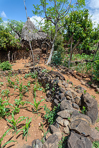 埃塞俄比亚Konso部落 格洛丽塔墙壁奇幻的村庄稻草景点建筑农村文化观光殖民地住宅吸引力冒险图片