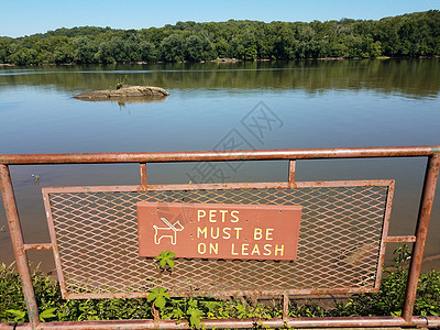宠物必须在带湖的金属栅栏上贴有皮条标志图片