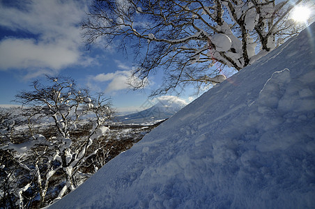 日本北海道滑雪滑雪者快乐粉末团队跑步山脉团体滑雪板家庭喜悦图片