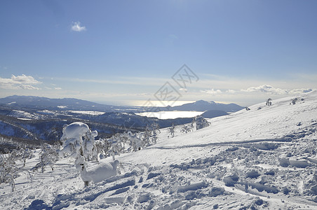 日本北海道滑雪朋友们滑雪者友谊喜悦闲暇旅行快乐粉末娱乐家庭图片