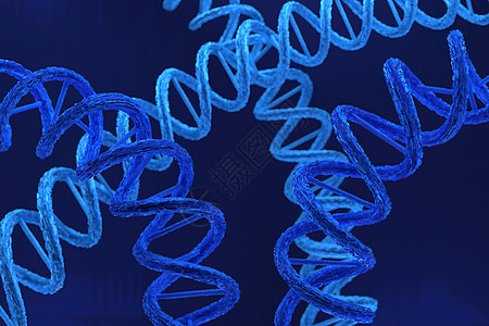 DNA 脱氧核糖核酸结构的 3d 渲染3d 插图卫生化学药品螺旋细胞绿色宏观蓝色染色体艺术图片