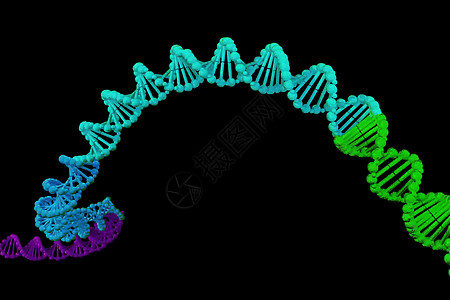 DNA 脱氧核糖核酸结构的 3d 渲染3d 插图化学科学卫生绿色药品基因遗传微生物学染色体生物图片