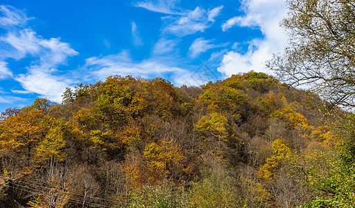 秋季旅游景色红色木头明信片天空旅行森林黄色小路荒野树叶图片