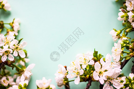 春花边框装饰风格假期乡村植物框架植物群桌子绿色卡片图片