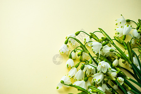 复活节假日卡概念乡村黄色蓝色假期卡片绿色框架植物群图片