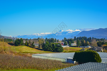 美国农场水果农场的冬季冬天 蓝天背景的华利和山地风景草地农业平静天空季节院子帖子场地农村牧场背景