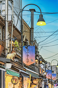 雅纳卡银座街购物街 旧旧法老街作家商圈地标建筑物浴衣美食家江户景色向日葵脚步图片