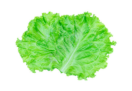 沙拉叶 在白色背景上隔离的生素 并剪切p饮食长叶食物蔬菜美食节食生产杂货店花园营养图片