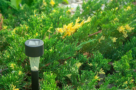 花园手电筒创新风格技术力量绿色装饰花朵白色灯笼材料图片