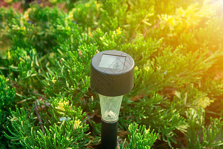 花园手电筒力量材料绿色花朵小路创新院子白色风格技术图片