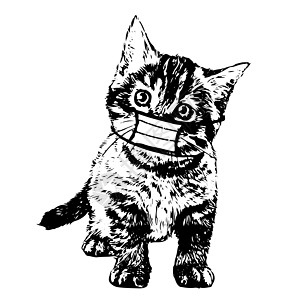绘制手戴蒙面图的猫插图面具毛皮耳朵表演友谊危机朋友小猫涂鸦宠物图片