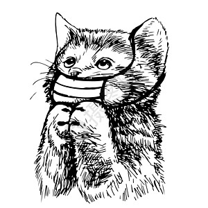绘制手戴蒙面图的猫插图毛皮友谊表演哺乳动物尾巴家畜面具胡子手绘小猫图片
