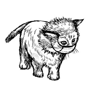 绘制手戴蒙面图的猫插图胡子耳朵手绘友谊尾巴朋友小动物疾病毛皮小猫图片