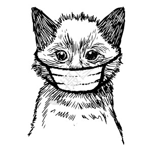 绘制手戴蒙面图的猫插图危机面具胡子友谊小动物小猫毛皮哺乳动物手绘涂鸦图片