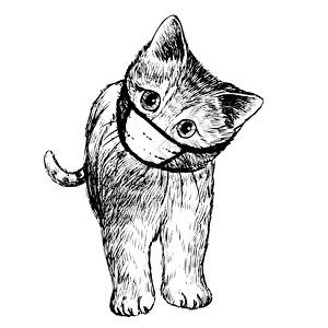 绘制手戴蒙面图的猫插图家畜朋友手绘尾巴面具小猫危机友谊小动物草图图片