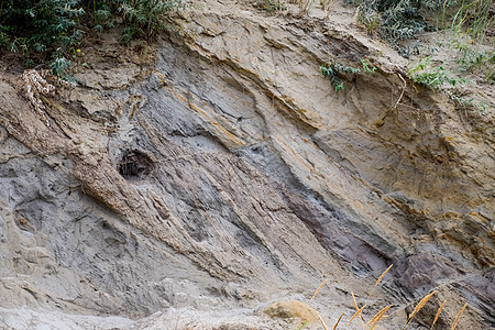砂岩中岩石的沉积层 沉积岩中的沙子 鹅卵石和贝壳裂缝公园学习沉积物科学碳酸盐碎石地层夹杂物巨石图片