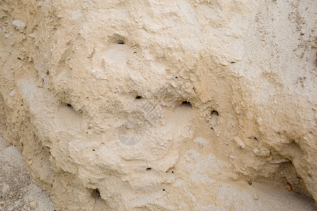 砂岩中岩石的沉积层 沉积岩中的沙子 鹅卵石和贝壳露头碎石学习黏土夹杂物地层地球地质学编队石灰石图片