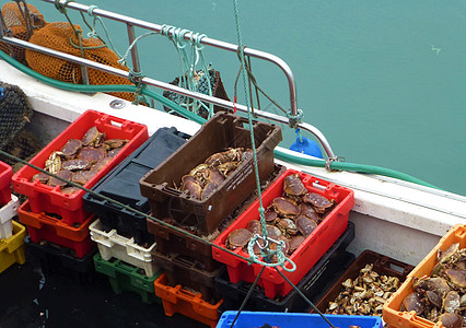 船上满箱螃蟹图片