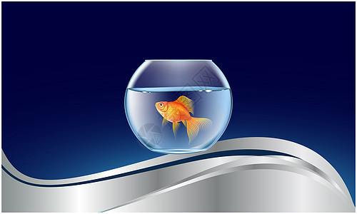 抽象波背景上的金鱼缸活动运动橙子野生动物自由专辑玻璃水族馆海浪游泳图片
