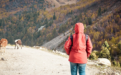 身穿红色夹克的后视成年女性独行旅客在公路旅行中独自行走在被森林和山脉环绕的土路上 夏季背景下的户外活动和生活方式 复制空间寂寞游图片