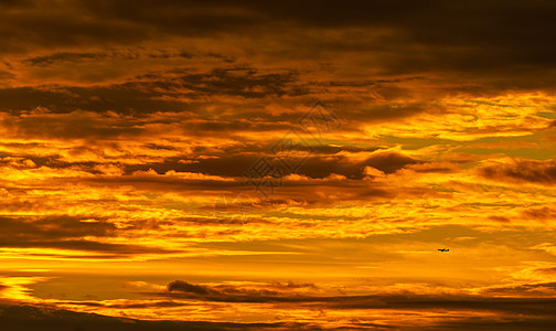 在美丽的日落天空上飞行的小型休光机 金色自由运输太阳精神戏剧性动机橙子飞机金子力量图片