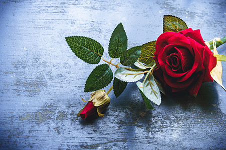 红玫瑰花在生锈的地板上 自然生命仍然热爱浪漫的背景主题 墙纸网标语为友谊和情人节设计了标志性装饰 复制空间供按摩用静物材料周年纪图片