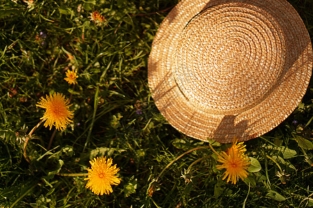 春色 有花朵 黄草地 花园和草帽帽子天空稻草蓝色太阳季节花粉农村场地晴天图片