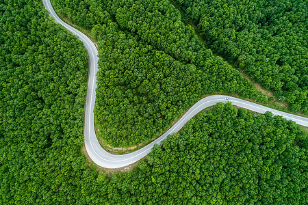 穿过森林的一条省级公路的空中景象nch场地货车旅行沥青时间卡车草原汽车针叶通道图片