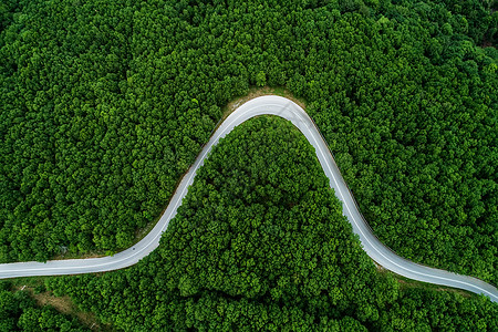 穿过森林的一条省级公路的空中景象nch货车运输沥青环境通道天线针叶卡车树木交通图片