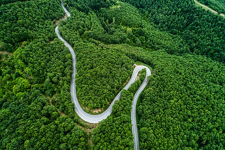 穿过森林的一条省级公路的空中景象nch天线通道汽车沥青环境针叶鸟瞰图草原时间运输图片