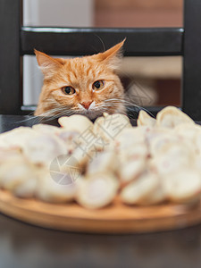 坐在桌子旁边的椅子上 煮着新鲜烹饪盘子动物猫咪面团情感厨房手表水饺食物美食图片