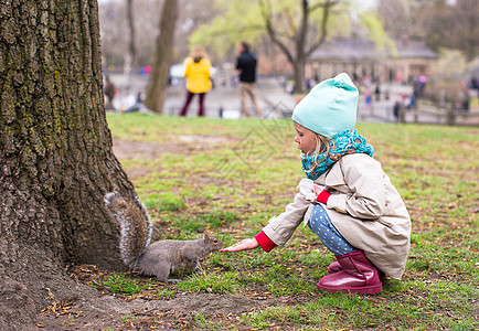 小女孩喂松鼠 在中央公园 纽约 美国纽约食物栖息地活动荒野童年坚果爪子乐趣棕榈野生动物图片