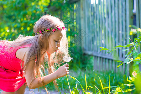 蒲公英女孩夏天放暑假时可爱的小女孩孩子幼儿园童年乐趣衬套情感女孩们压痛姐妹晴天背景