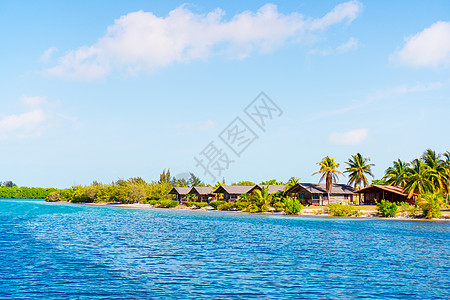 有白沙 绿绿海海水和大棕榈树的长堤热带海滩棕榈海浪海景海岸海洋椰子风景天堂美人鱼情调图片